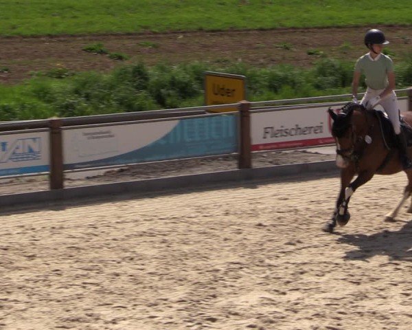 Reitturnier Uder, Reitanlage Kobold 2024