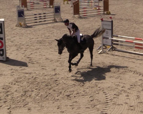 Reitturnier Uder, Reitanlage Kobold 2024