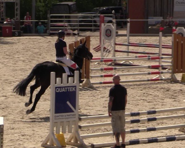 Reitturnier Uder, Reitanlage Kobold 2024
