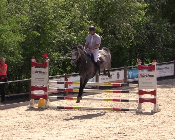 Reitturnier Uder, Reitanlage Kobold 2024