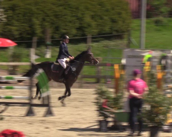 Reitturnier Looperholzer Turniertage 2024