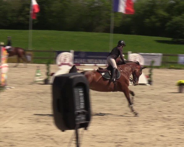 Reitturnier Looperholzer Turniertage 2024