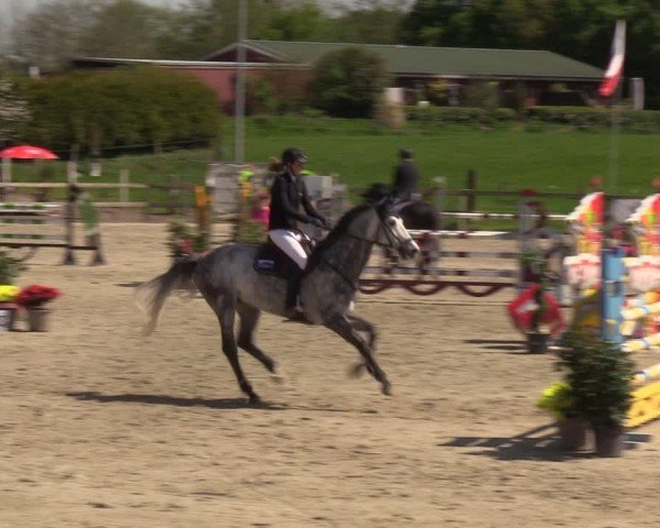 Reitturnier Looperholzer Turniertage 2024