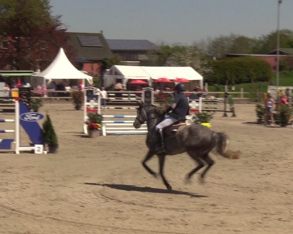 Reitturnier Looperholzer Turniertage 2024