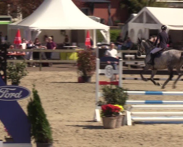 Reitturnier Looperholzer Turniertage 2024