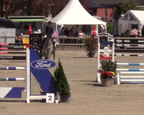Reitturnier Looperholzer Turniertage 2024