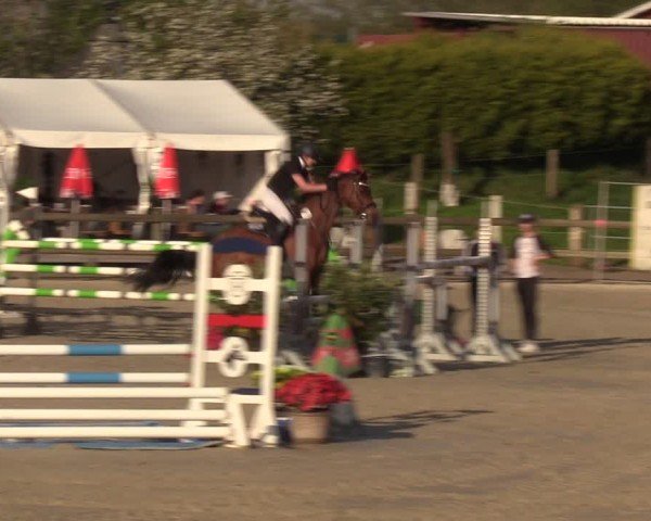 Reitturnier Looperholzer Turniertage 2024