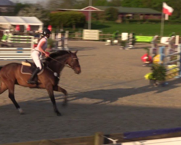 Reitturnier Looperholzer Turniertage 2024