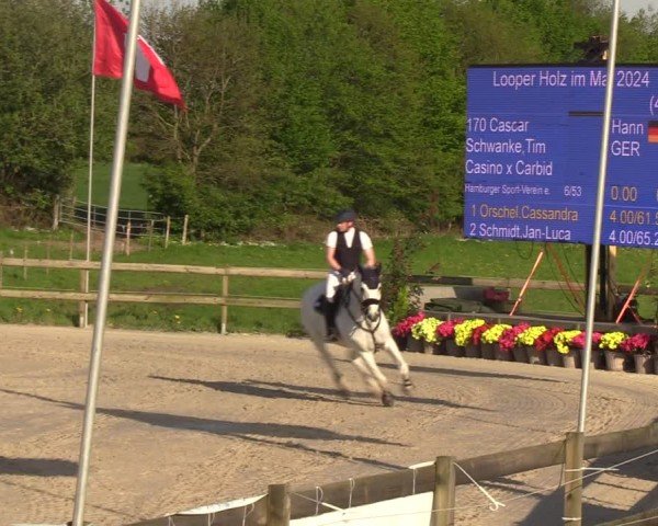 Reitturnier Looperholzer Turniertage 2024