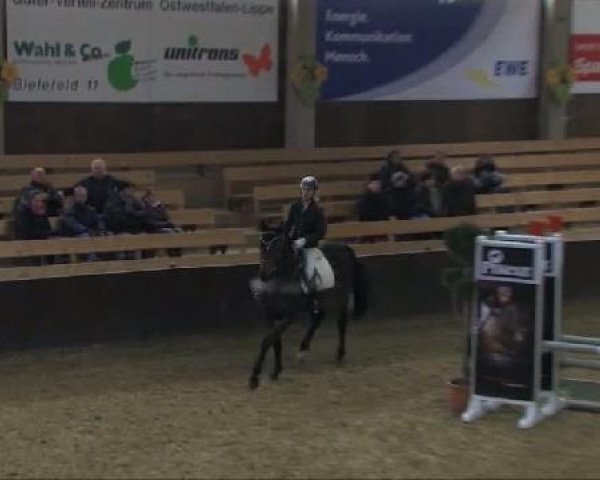 Herford Großes Hallenturnier vom 03.-05. Februar 2012
