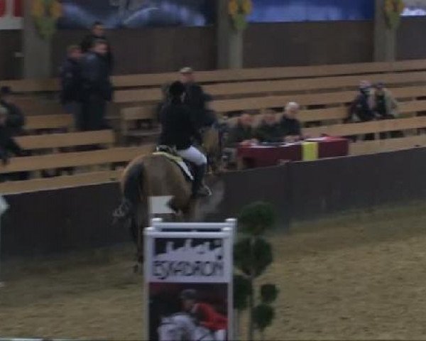 Herford Großes Hallenturnier vom 03.-05. Februar 2012