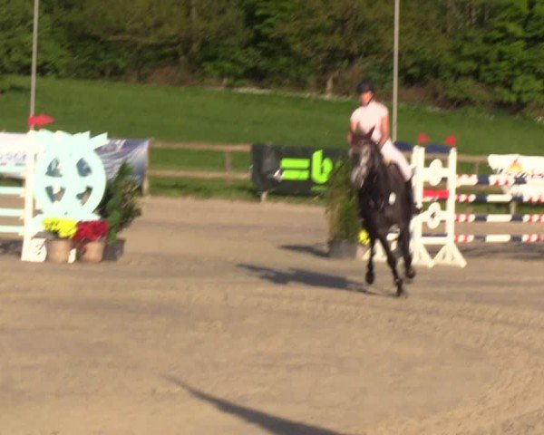 Reitturnier Looperholzer Turniertage 2024