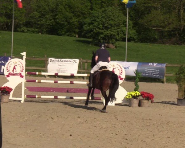 Reitturnier Looperholzer Turniertage 2024