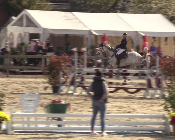 Reitturnier Looperholzer Turniertage 2024