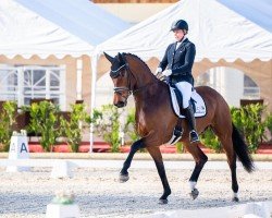dressage horse Voundation FRH (Rhinelander, 2019, from Vitalis)