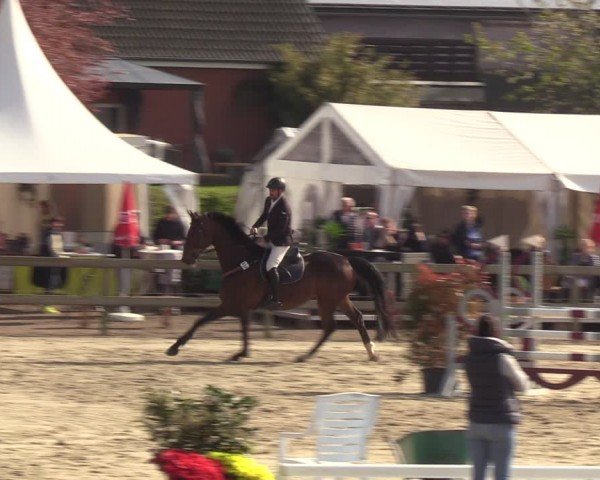 Reitturnier Looperholzer Turniertage 2024