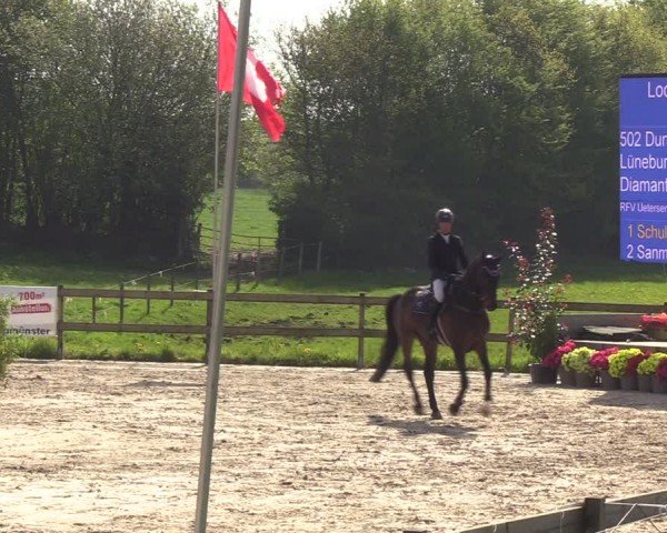 Reitturnier Looperholzer Turniertage 2024
