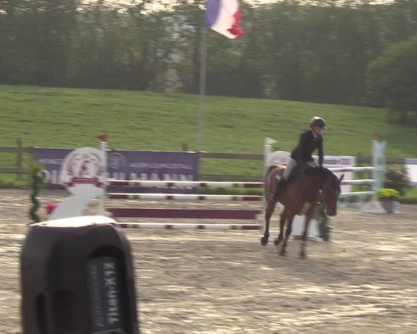 Reitturnier Looperholzer Turniertage 2024