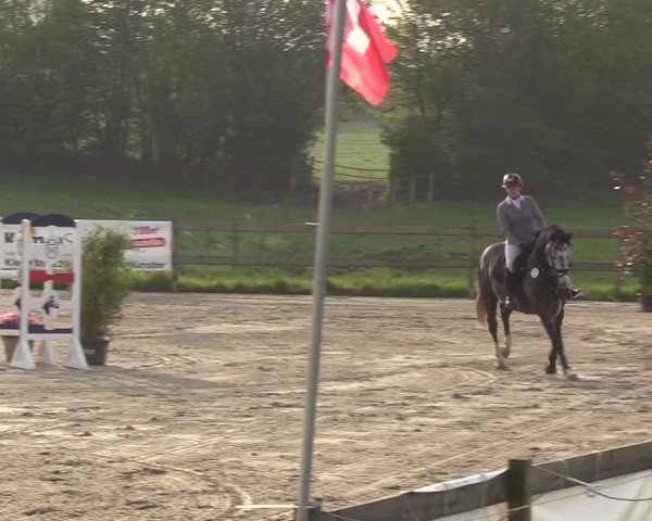Reitturnier Looperholzer Turniertage 2024