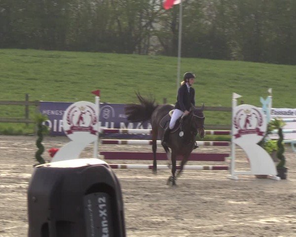 Reitturnier Looperholzer Turniertage 2024