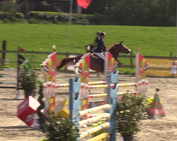 Reitturnier Looperholzer Turniertage 2024