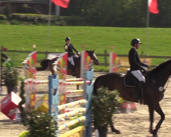 Reitturnier Looperholzer Turniertage 2024