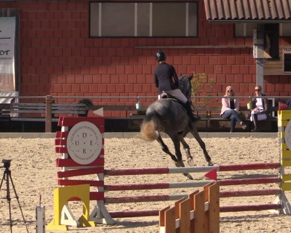 Reitturnier Uder, Reitanlage Kobold 2024