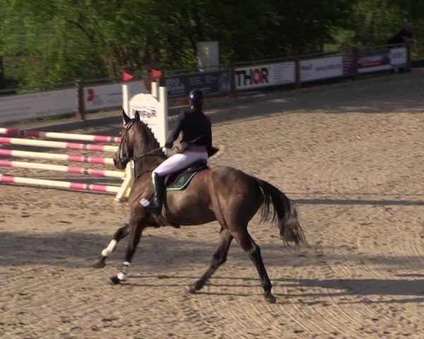 Reitturnier Uder, Reitanlage Kobold 2024