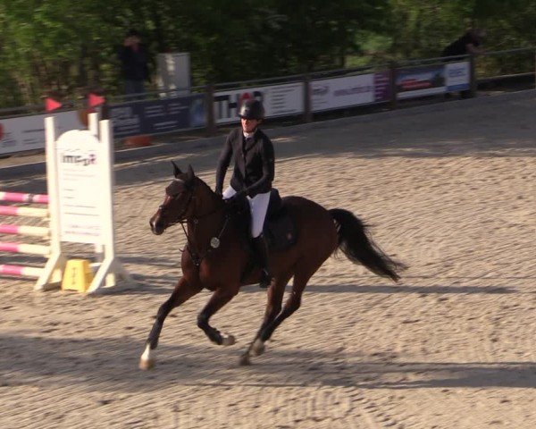 Reitturnier Uder, Reitanlage Kobold 2024