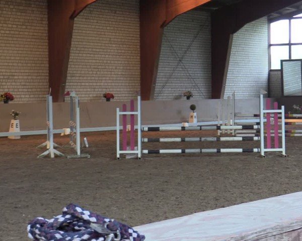 Reitturnier Kamen 2024