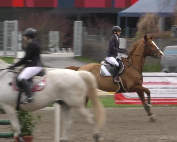 Reitturnier Ranftlhof 2023