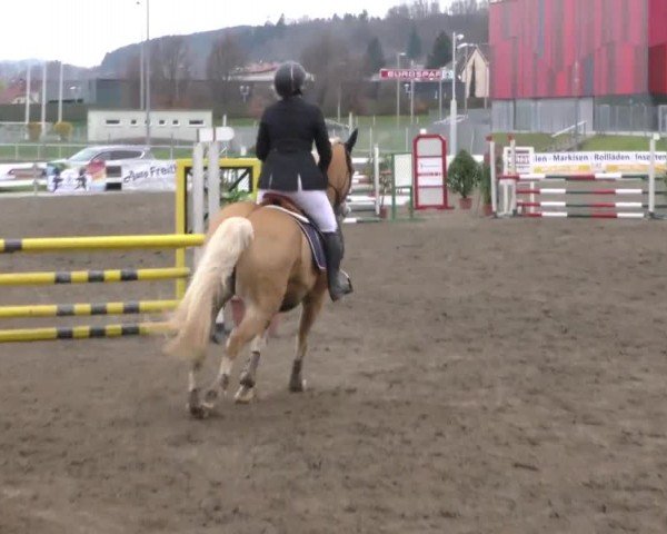 Reitturnier Ranftlhof 2023