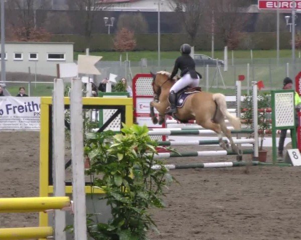 Reitturnier Ranftlhof 2023