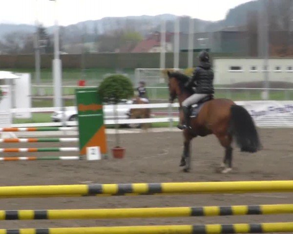 Reitturnier Ranftlhof 2023