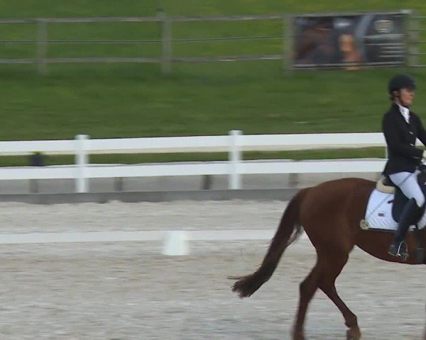 Reitturnier Gut Bohmerhof-Wackersberg/Obb. 2024
