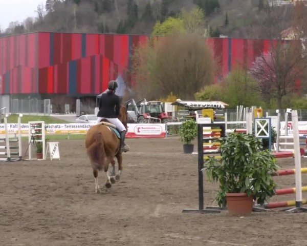 Reitturnier Ranftlhof 2023