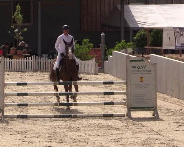Reitturnier Uder, Reitanlage Kobold 2024