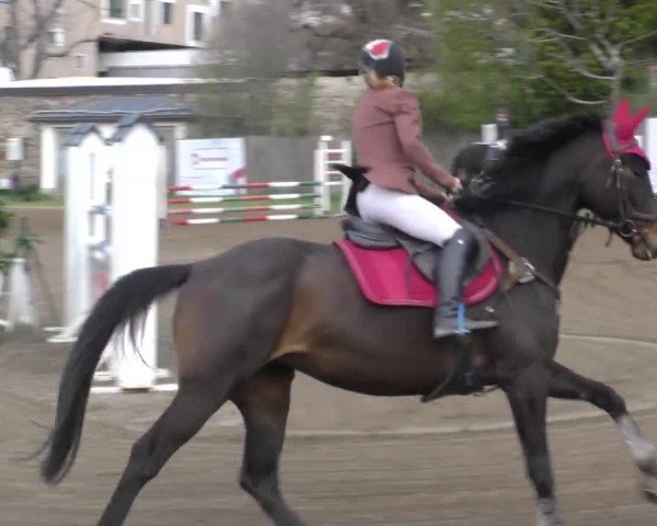 Reitturnier Ranftlhof 2023