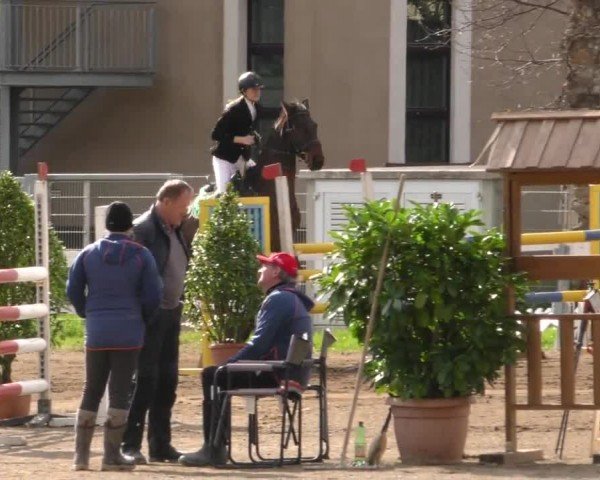 Reitturnier Ranftlhof 2023