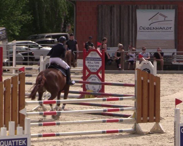 Reitturnier Uder, Reitanlage Kobold 2024