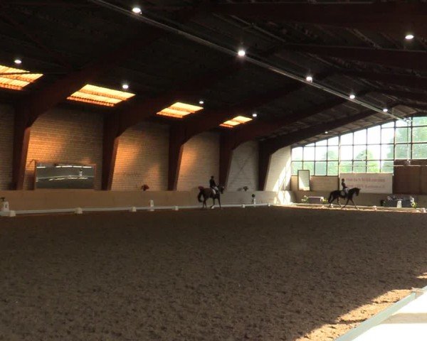 Reitturnier Kamen 2024