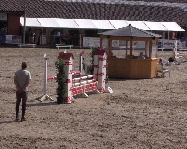 Reitturnier Havixbeck 2024