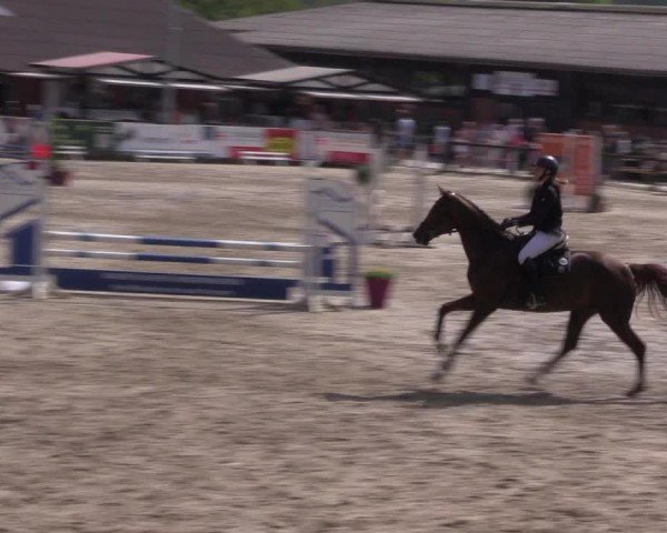 Reitturnier Havixbeck 2024