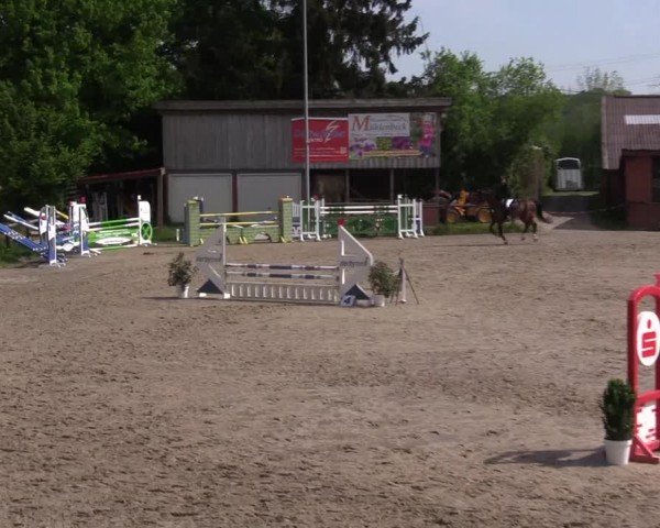 Reitturnier Havixbeck 2024