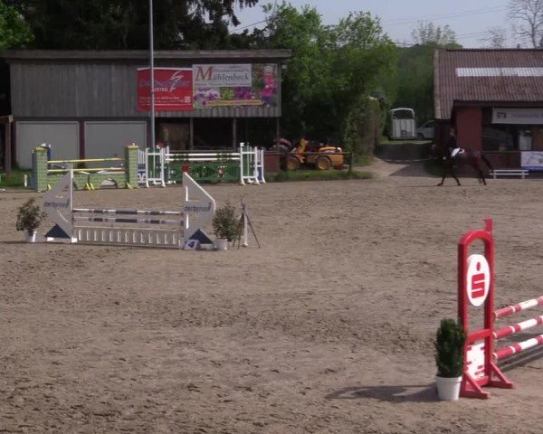 Reitturnier Havixbeck 2024