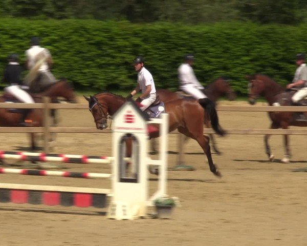 Reitturnier Kamen 2024
