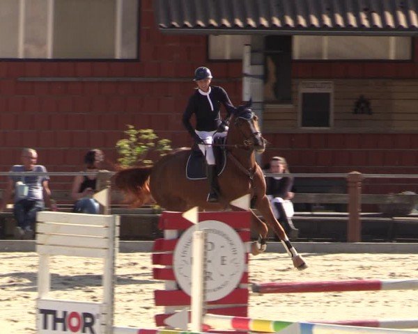 Reitturnier Uder, Reitanlage Kobold 2024