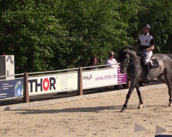 Reitturnier Uder, Reitanlage Kobold 2024