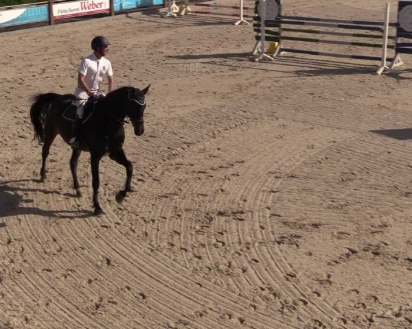 Reitturnier Uder, Reitanlage Kobold 2024