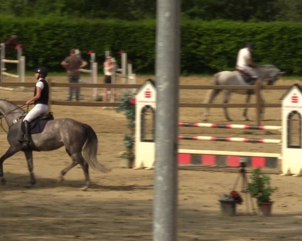 Reitturnier Kamen 2024
